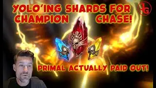 MASSIVE SHARD YOLO for Champion Chase - Raid Shadow Legends 