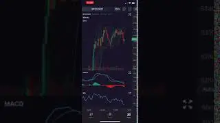 SciChart's Financial Chart Component - Zoom and Pan Multi Pane Stock/Cryptocurrency Charts
