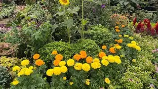 Plant Price Review