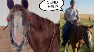 My First Time Horseback Riding!!! | THIS HORSE DOESN'T LIKE ME!