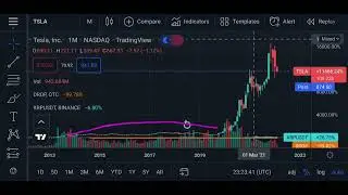 Tesla vs xrp ripple