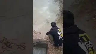 🔥captura y suelta 