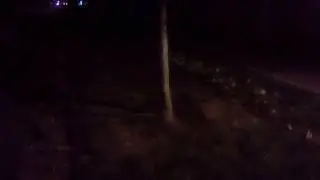 Как в России поливают деревья!!!