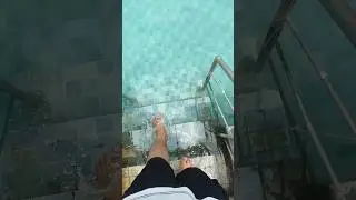 @AzaanMiniZoo #shahgee47 #shorts #short #viral
