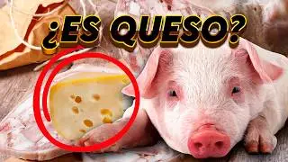 ¿Es el Queso de Cerdo Bueno para la Salud? Beneficios y Riesgos