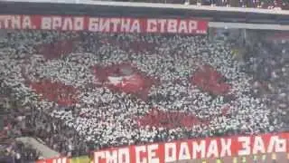 Delije na Zvezda - Vozdovac 5:1, koreografija i bakljada