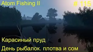 День рыбалок:  плотва и сом. Карасиный пруд. # 115.  Прохождение Atom Fishing II