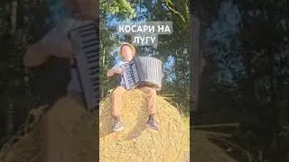 12 августа 2024 г.
