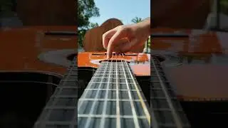 polyushka polye cover "laylaylaylaylay"