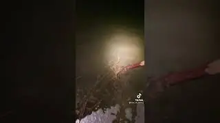 Вот это карпик! Ночная рыбалка