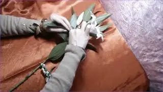 Ритуал похудения Анахита Адвисура