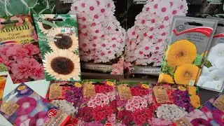 Семена цветов которые я буду повторять