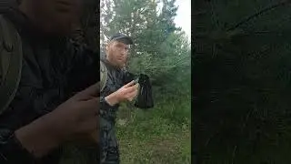 Пока шишка зеленая... #выживание  #выживалыч #дикаяприрода  #бушкрафт