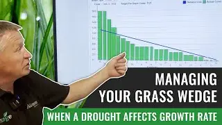 Managing your Grass Wedge When a Drought Affects Growth Rate
