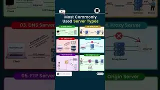 🌐 Understanding the Most Commonly Used Server Types 🗺️