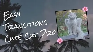 Basic Transitions |Cute Cut Pro| For Beginners