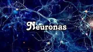 Las Neuronas
