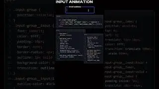 Input Animation || Html & Css || 