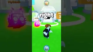Shadow Pets Machine !?! 😱🔥