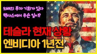 테슬라 현재 상황은 엔비디아 1년전이랑 똑같다, 10배의 투자 기회