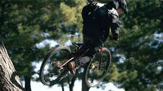 Treestyle MTB