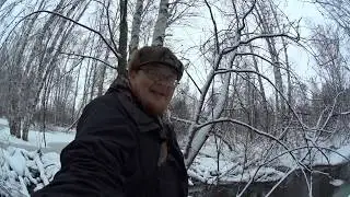 Проверка капканов на бобра