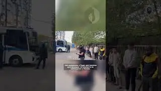 Силовики накрыли мигрантский хостел #мигранты #новости #важно #youtubeshorts #shots #новостисегодня