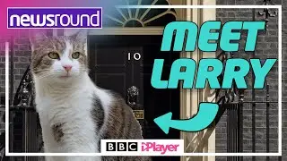 LARRY the Downing Street cat is CHIEF MOUSER! | Newsround