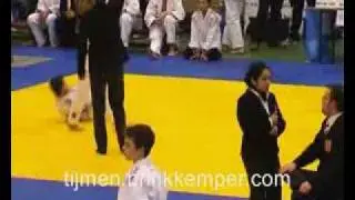 Ippon bij Open Noord-Nederlandse Kampioenschappen