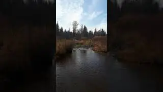 Брод на Шевике