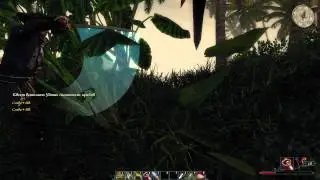 Risen 2   Dark Waters прохождение Часть 33]