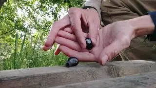Tronsmart Onyx Neo AptX TWS Bluetooth. Распаковка наушников(1)