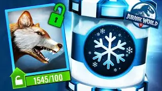 Ludia Sent Me a DIREWOLF 🐺  |  Jurassic World Alive  |  Part 41