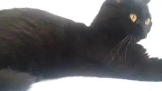 лепка к новому году