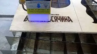 ВСякаЯ всяЧИНА