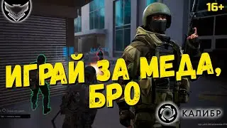 Играй за меда в Калибре! 🦊 Как быть сильным, когда все плохо