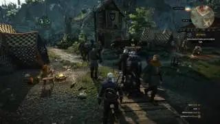 pam param Witcher3