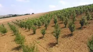 ORGANİK TARIM - 4K HAVA ÇEKİMLERİ