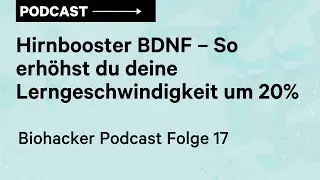 Hirnbooster BDNF – So erhöhst du deine Lerngeschwindigkeit um 20%