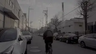 온 세상은 평화로워 보여