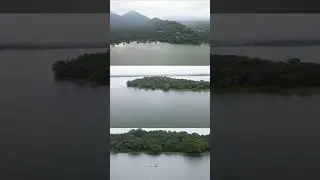Kandalama Lake On Mavic Air 2 🇱🇰🚣✈  #shorts