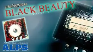 Легендарный потенциометр ALPS RK40 - Black Beauty