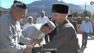 Что они делают ,аузуби Ллях!