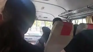 Ikarus - 55 Lux на садовой улице у Михайловского сада