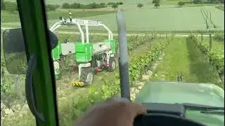 Le robot TED travaille le sol de la vigne avec le tracteur !