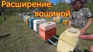 ШЕСТИРАМОЧНИКИ, расширение вощиной! О МАТКАХ!