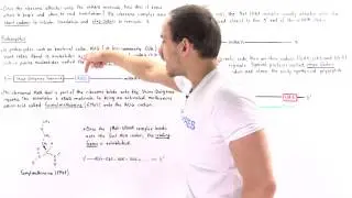 Start and Stop Codons