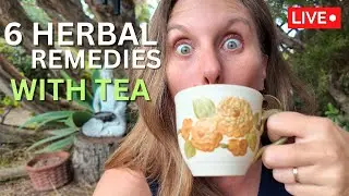 How to make Herbal Medicine with just TEA