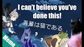 The Biggest Mystery in Genshin Impact! The Kemonomimi Problem.