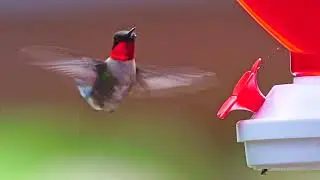 HummerTest